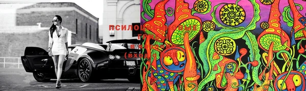 ПСИЛОЦИБИНОВЫЕ ГРИБЫ Нея