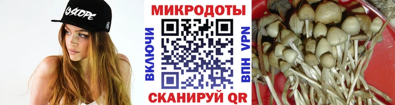 Галлюциногенные грибы ЛСД  Фёдоровский 